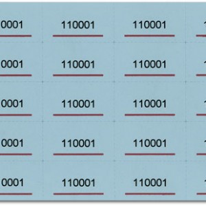 Chinese-Auction-Tickets-Blue